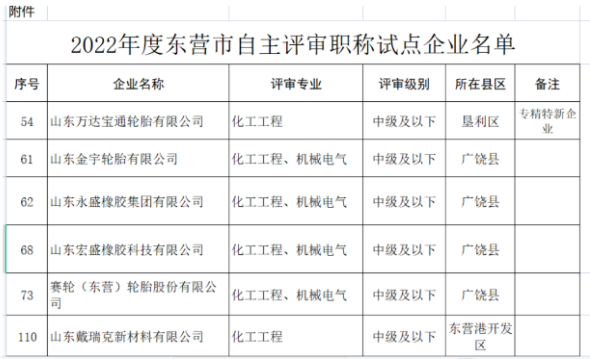 職稱自主評審，5家輪胎企業(yè)試點(diǎn)！